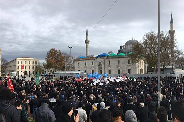 halep beyazıt 33