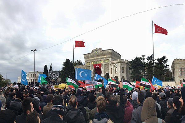 halep beyazıt 4