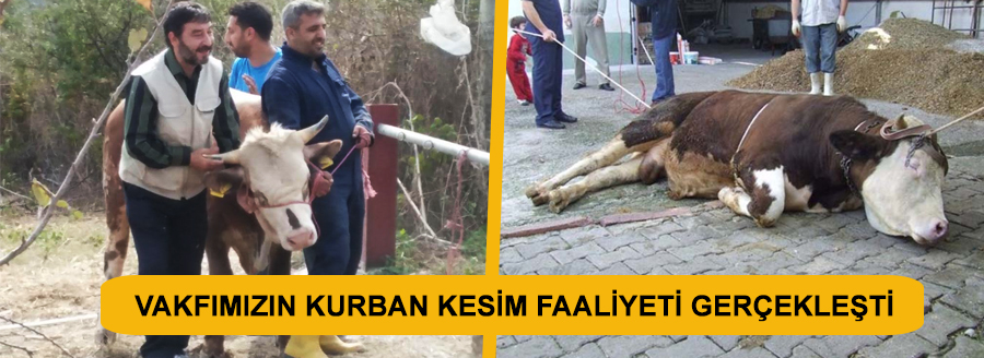 kurban 2016