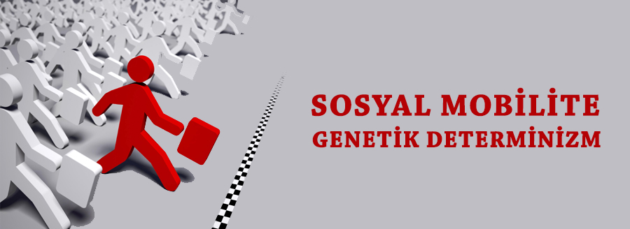 sosyal mobilite