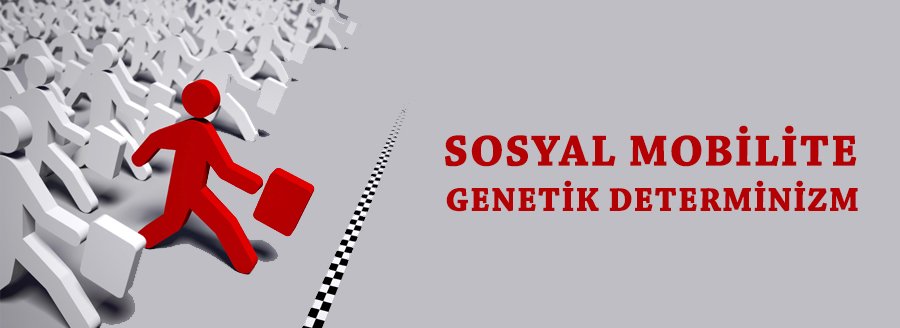 SOSYAL MOBİLİTE